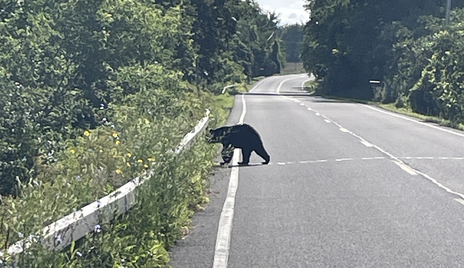 Mohawk Hudson Land Conservancy